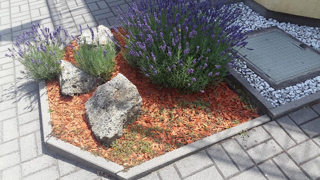 Hajas Família Kiadó Szobák Balatonmáriafürdő Kültér fotó